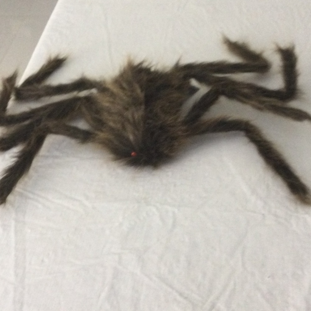 Ashland Brown Furry Spider Decor